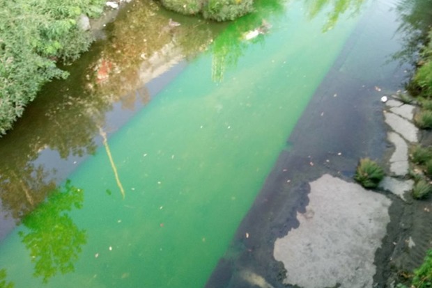 У столичну річку Либідь вилили зелений барвник