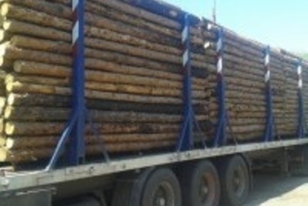 В Луганской области чиновники организовали схему хищения леса