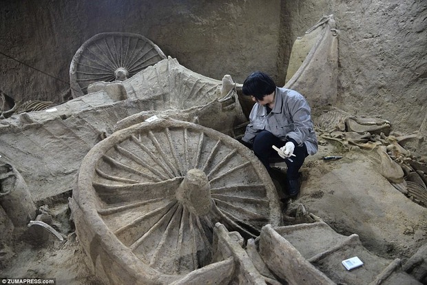 У Китаї знайшли поховання давньої династії, похованої разом із табуном коней