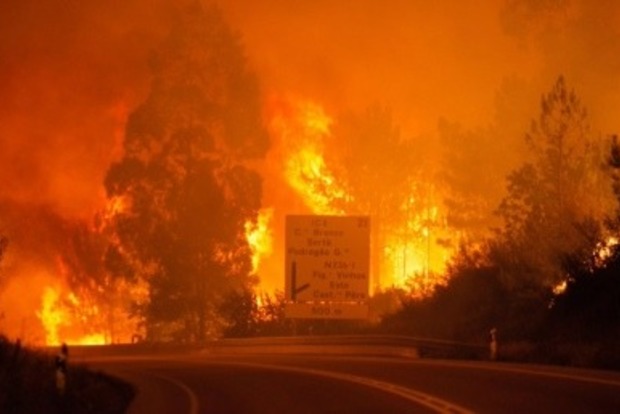 Масштабные пожары в Португалии уже унесли жизни 43 человек