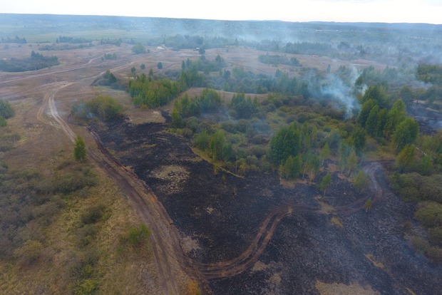 В Черкасской области ввели режим ЧС из-за масштабных пожаров