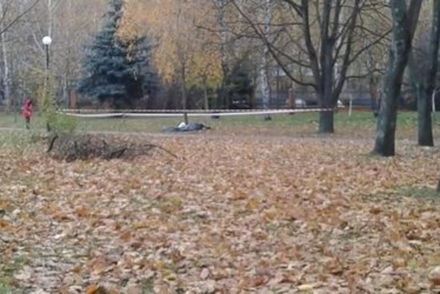Пенсионер скончался в киевском парке