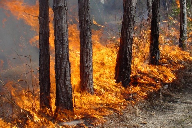 В Україні до п'ятниці збережеться пожежна небезпека