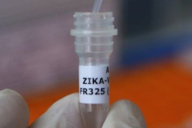 Ученые Китая смогли выделить два штамма вируса Зика