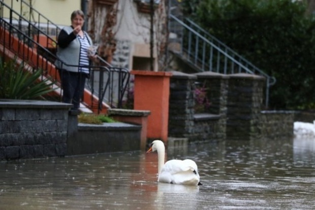 По затопленным ураганом улицам Германии безмятежно плавают лебеди