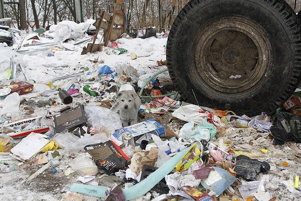 Меру Львова наказали прибрати все сміття з міста