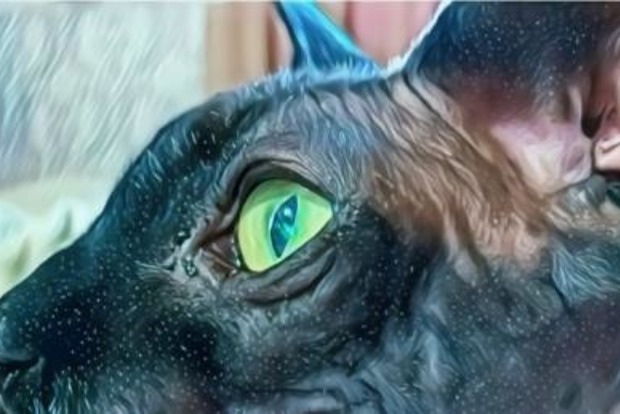 31 жовтня: Луків день. Що потрібно робити, щоб не впустити в хату погань