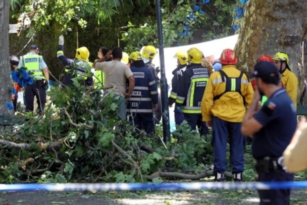 Число погибших из-за падения дуба на Мадейре возросло до 13 человек‍