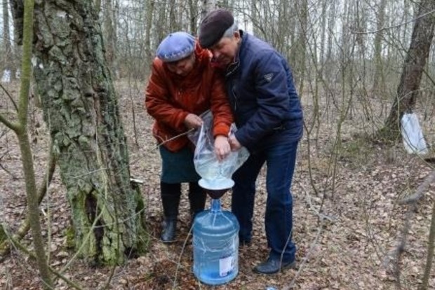 До лісу зі штангенциркулем: в РФ ввели обмеження на збір грибів та березового соку