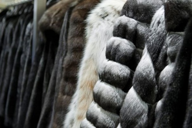 Норвегія заборонить вирощування норок і лисиць для хутряного одягу