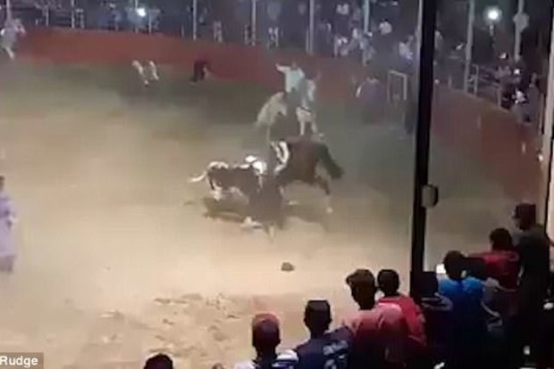 Бик проткнув рогами коня і наїзника на родео в Мексиці
