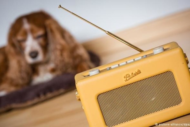 В Германии создали первую в мире радиостанцию для собак