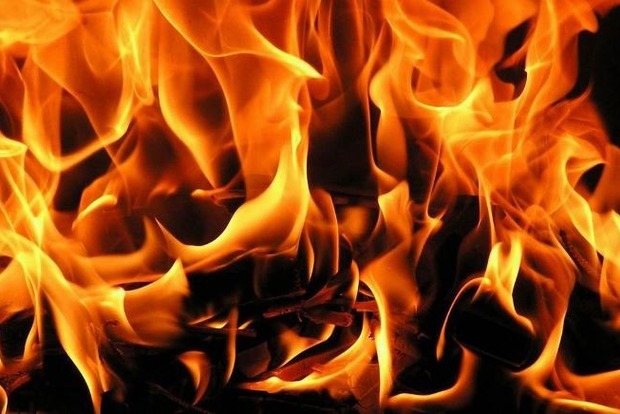 Под Житомиром в пожаре заживо сгорели двое детей