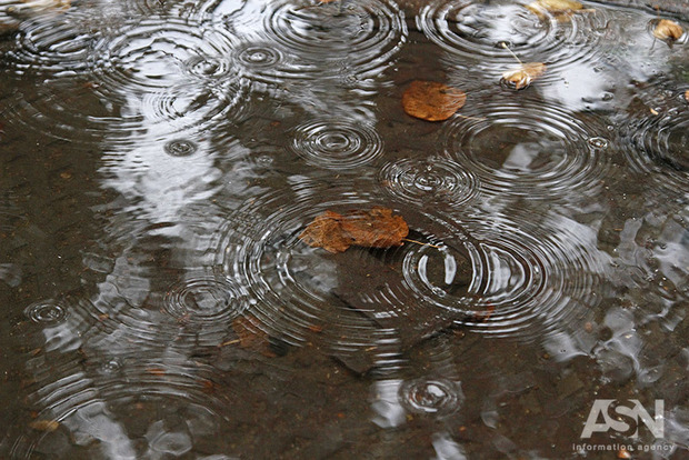 Минувшая ночь в Киеве установила температурный рекорд за 136 лет