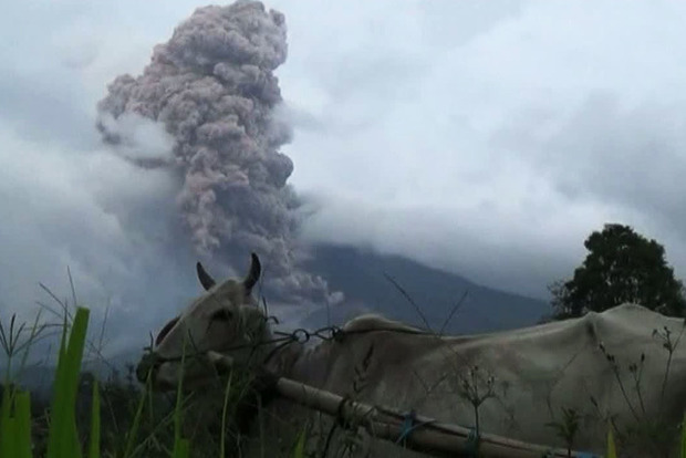 В Индонезии упал вертолет спасателей, которые летели в район извергающегося вулкана