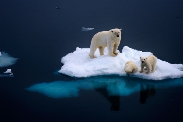 В Арктике лед исчезает миллионами квадратных километров