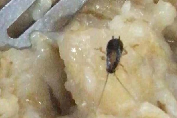 Матиос: Будущих военных летчиков кормили тараканами и червями
