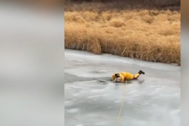 Спасатель едва не погиб, вытаскивая собаку из-под льда в Канаде