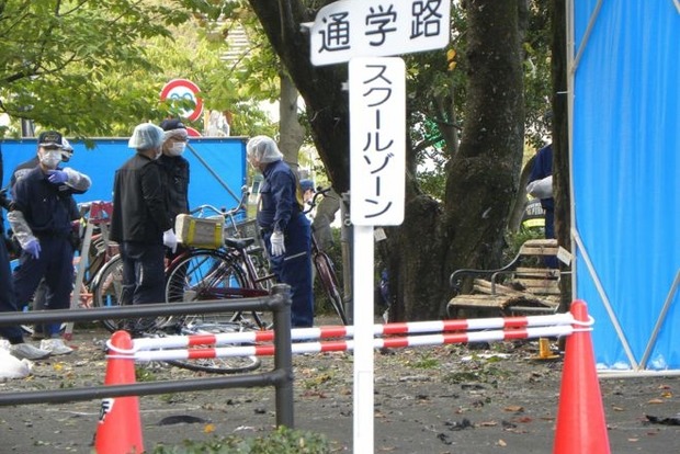 В Японии в парке произошли взрывы, есть жертвы