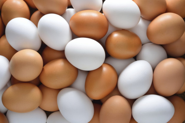 СМИ: В Германии задержали продавцов 700 тысяч отравленных яиц