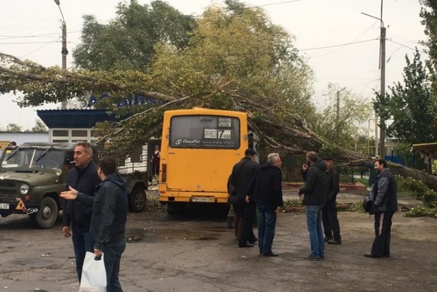 В Одесской области дерево упало на маршрутку