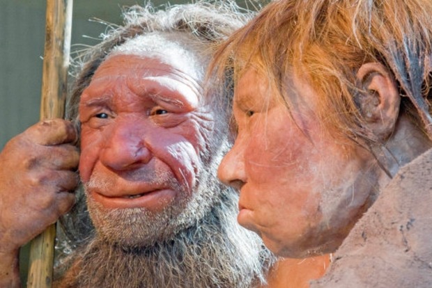 Неандертальцы помогли древним людям приспособиться к холодам