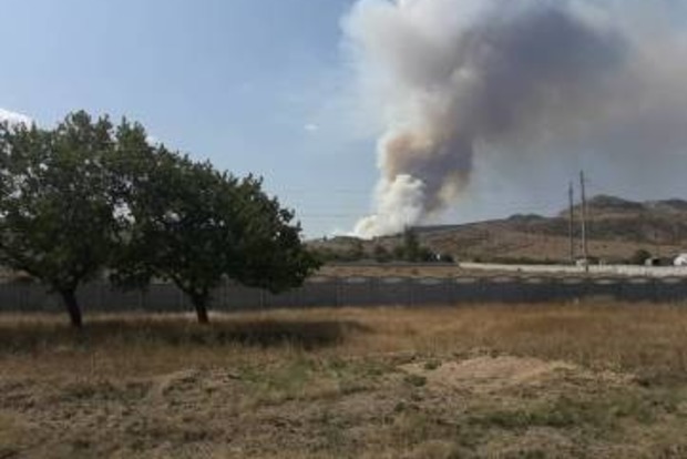 У Криму палає ліс, пожежні намагаються врятувати будинки
