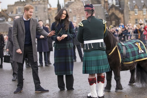 В Шотландии пони покусал принца Гарри