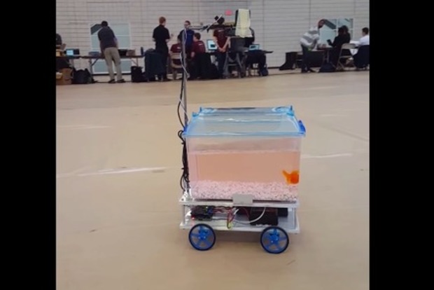 Студенти створили акваріум на колесах, яким керує рибка