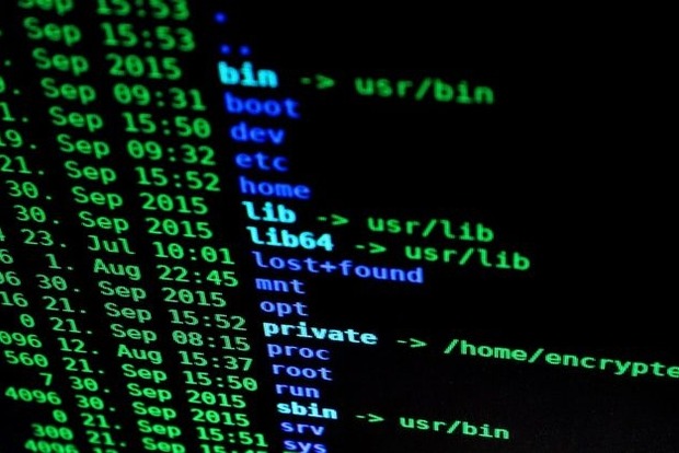 Белый дом готовит тайную кибероперацию против российских хакеров