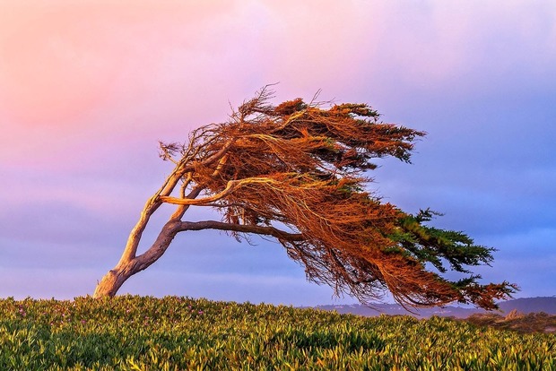 16 июня: Лукьяна Ветряка. Народные приметы на погоду