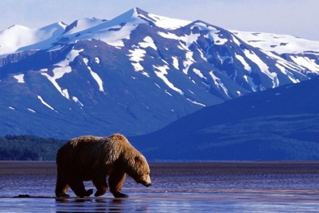 WSJ: На Аляске нашли огромные запасы нефти
