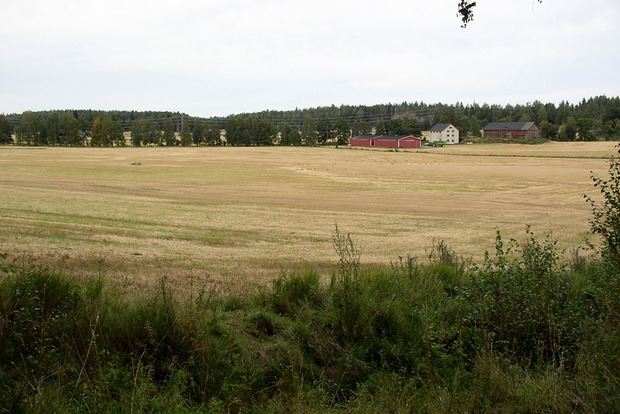 Финляндия запретила продажу земли гражданам РФ из-за угроз гибридной войны