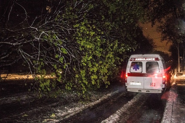В Днипре снежный ураган выкорчевывал деревья и рвал провода 