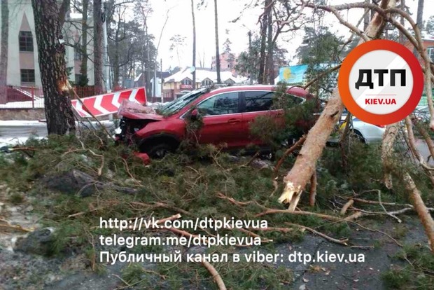 Под Киевом пьяный на «Хонде» врезался в дерево