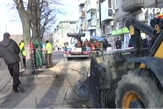 Жителі Дніпра побилися з комунальниками через дерева