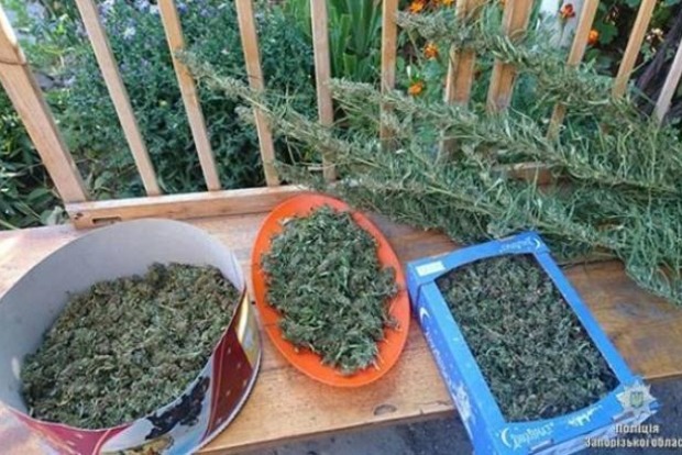 В Запорожской области изъяли наркотики на пол миллиона гривен