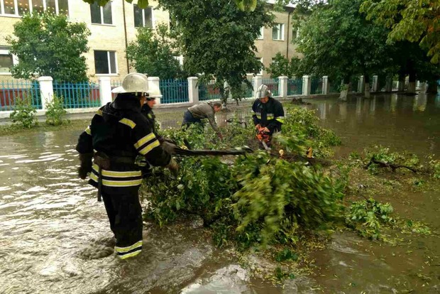 Дерево, що впало на Черкащині, вбило молоду дівчину