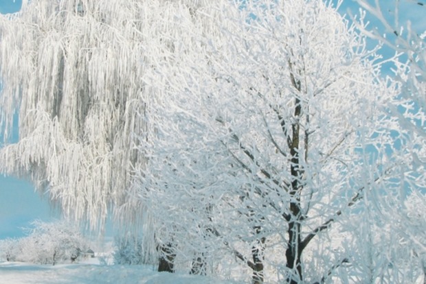 В Украину возвращаются 20-градусные морозы