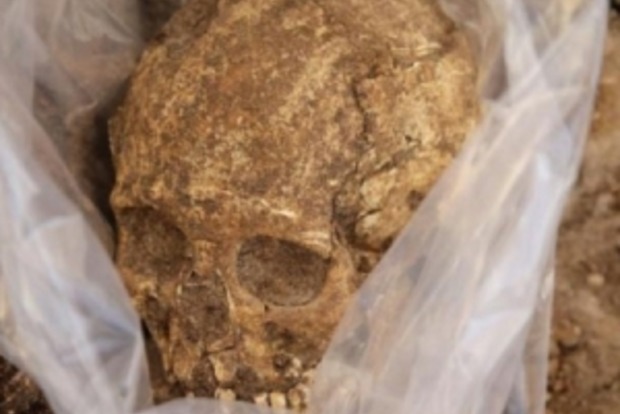 Археологи виявили в Іспанії стоянку давніх канібалів
