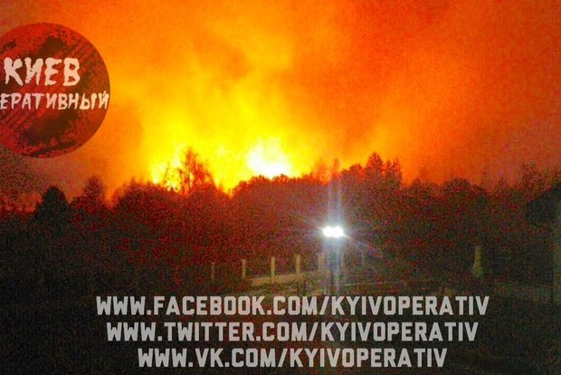 В лесу под Киевом случился масштабный пожар. Огонь подобрался к жилым домам