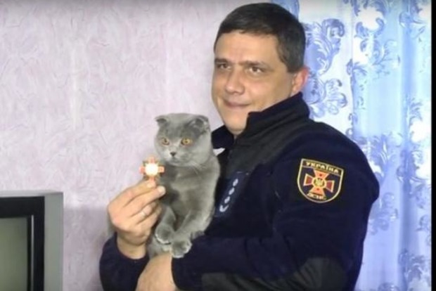 Кішка врятувала від смерті вінницького господаря-рятувальника (відео)