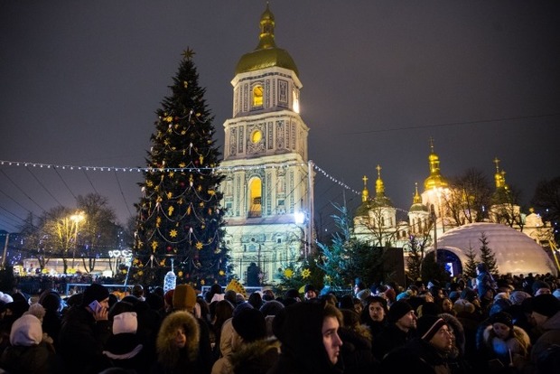 Главную елку Киева доставят из Ивано-Франковской области в декабре
