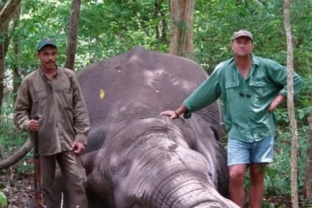 В африканском заповеднике убитая слониха раздавила охотника