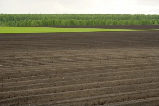 Народні прикмети на 10 травня 2024 року. Яке церковне свято святкують в Україні