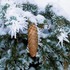 18 січня: Водохреща. Цілющий сніг та табу на лайку: що можна і не можна робити