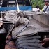 В Индонезии крокодил съел женщину-биолога