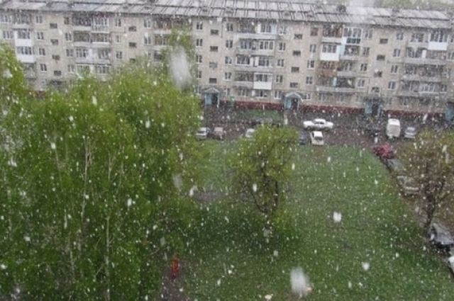 погода, в россии, выпал снег, погода, похолодание