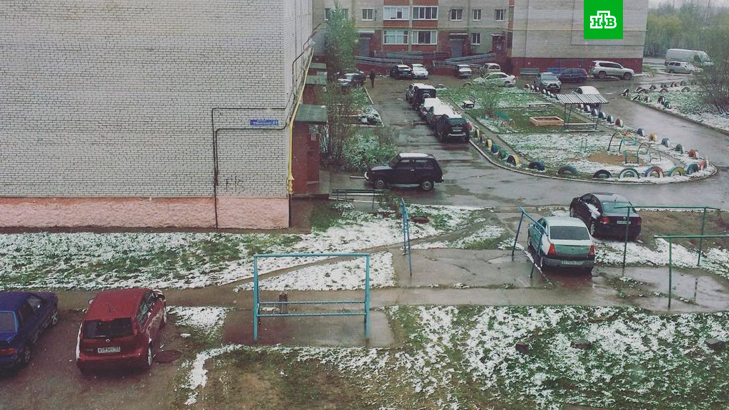 погода, в россии, выпал снег, погода, похолодание