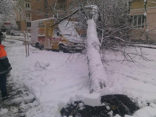 непогода, ураган, снегопад во Львове